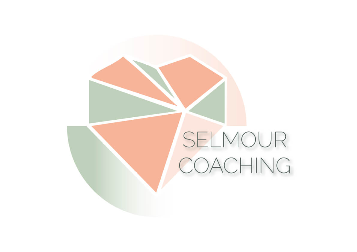 Logo Selmour